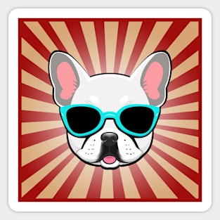 White Frenchie Dog Wearing Blue Sunglasses Funny French Bulldog Sticker